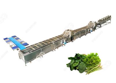 Китай CE Certified Stainless Steel Commercial Vegetable Washer Washing Line Vegetable Processing Plant продается