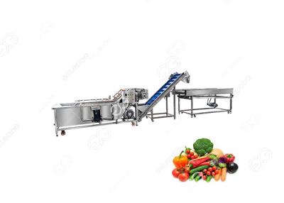 中国 CE Certified Stainless Steel Commercial Vegetable Washing Cutting Machine Vegetable Processing Unit 販売のため