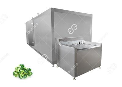 Chine Hot Sale Automatic Frozen Broccoli And Cauliflower Processing Line Fruit And Vegetable Processing Line à vendre