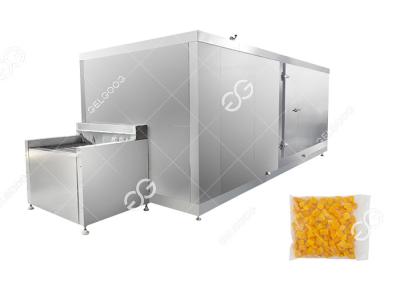 Chine Factory Price Frozen Mango Production Line Fruit And Vegetable Processing Industry à vendre