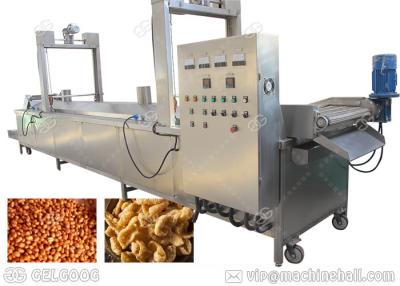 China Fried Peanut Pork Skin Automatic Fryer Machine , 0-300℃ Henan GELGOOG Machinery for sale