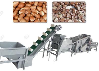 China Argan Nut Shelling Machine Separator Commercial Pecan Crackers And Shellers for sale