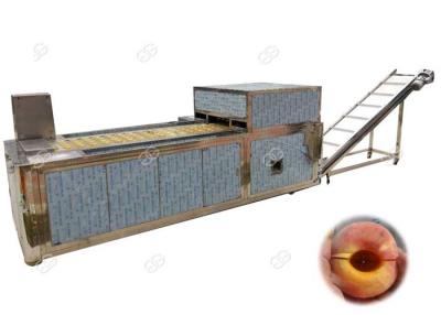 China Automatic Peach Half Cutting And Pitting Machine Nucleation Rate 98% for sale
