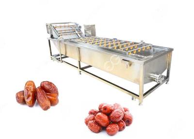 China GELGOOG Jujube Dates Fruit Washing Machine Continously High Capacity for sale