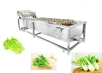 China Bubble Type Vegetable Cleaning Washing Machine Vegetable Washing Solution Industrial for sale