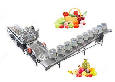 China Efficient Customized Fruit And Vegetable Washing And Drying Production Line for sale