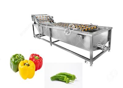 China Chili Pepper Bubble Washing Machine Hot Sale Vegetables Industrial for sale