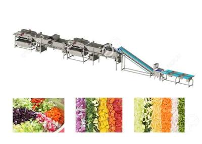 China Linha de processamento vegetal comercial do vegetal do equipamento da lavagem do fruto para a fábrica de tratamento vegetal à venda