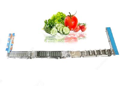 China Automatic Fruit And Vegetable Washer Fruit And Vegetable Washing Processing Equipment for sale