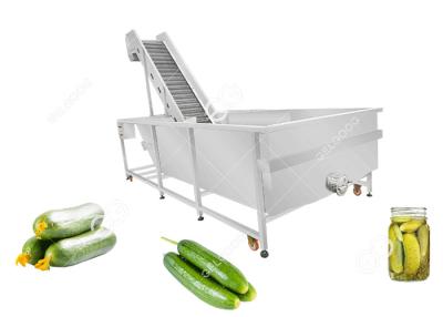 China Industrial Cucumber Washer Cucumber Washing Processing Machine For Pickled Cucumber Dried Cucumber for sale