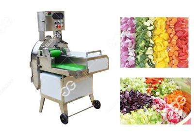China Multifunction Vegetable Cutting Machine 0-60 Mm With Double Frequency Conversion for sale