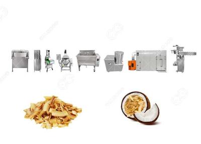 China Dehydrated Coconut Chips Making Machine Drying Crunchy Chips CE Certification for sale