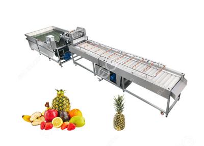 China Proceso de fruta de limpieza de la máquina de la piña grande de la salida Equipment2T/H en venta