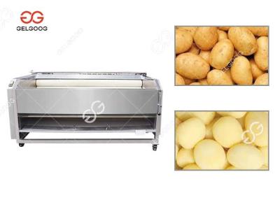 China Potato Carrot Washing And Peeling Two In One Machine Small Scale for sale