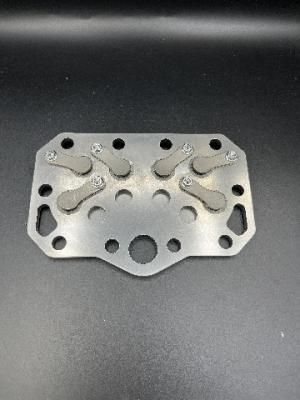 China Bizel Series Valve Discs And Plates Customized Compressor Valve Plate for sale
