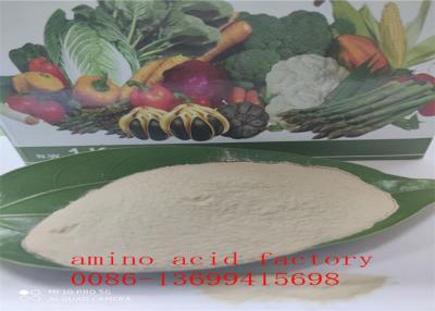 China Free Amino Acid 80% Hydrolysed Soy Protein With REACH Registration for sale