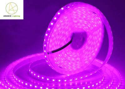 China 72W 12v Neon Flex Led Strips 5M RGB Ribbon SMD5050 for Decorative for sale