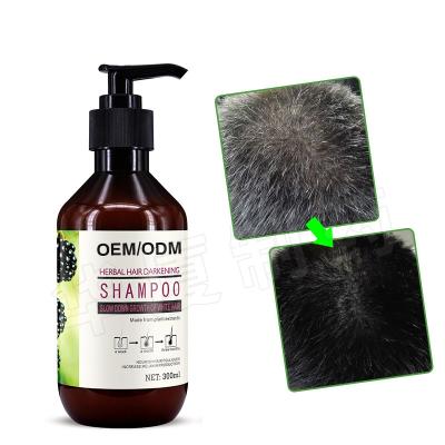 China Medical Black Anti Grey Hair Shampoo For White Hair Treatment From Root 300ml for sale