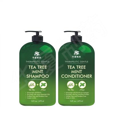 China Gentle Anti Hair Loss Shampoo For Black Women Organic Tea Tree Mint for sale