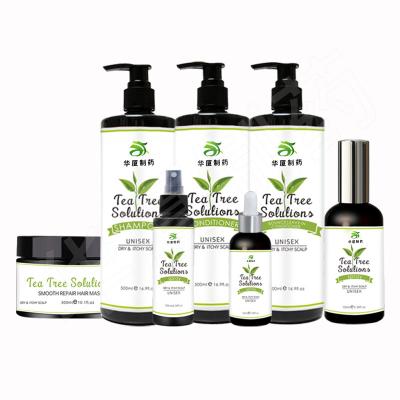 China Private Label Therapy And Healing Scalp Shampoo For Dry Itchy Scalp for sale