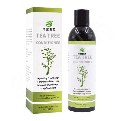 China Champô orgânico da árvore do chá do óleo do cuidado dos homens da marca própria natural para o crescimento à venda