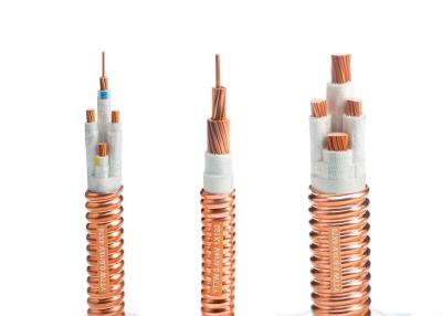 China 2x2.5mm2 envoltura metálica de cobre del cable resistente al fuego del IEC 60331 en venta