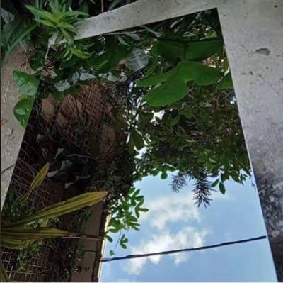China 6 X 36 4 X 6 6x6 Stainless Steel Sheet 600mm 304 304l 301 309S 310S 316L 8K Mirror for sale
