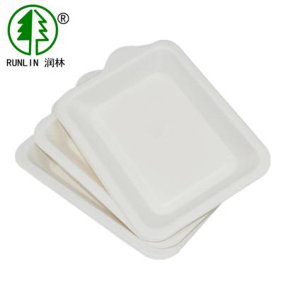 China 7g Environmental Protection Rectangular Cake Plate Biodegradable Sugarcane Plates For Cake for sale