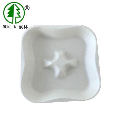China BBQ Biodegradable Sugarcane Bagasse Plates for sale