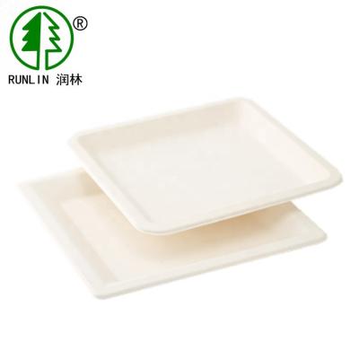 China LFGB Rectangular Biodegradable Sugarcane Disposable Plates For Wedding Parties for sale
