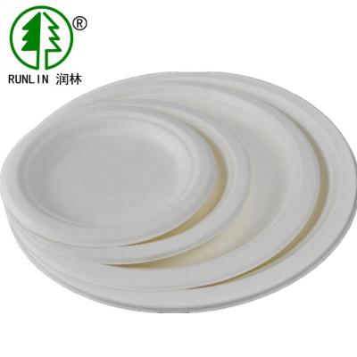 China 9in 12in Biodegradable Bagasse Eco Friendly Dishes Disposable Dishes For Parties for sale