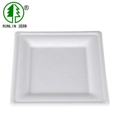 China Birthday Cake  Eco Friendly Dishes Easy Takeaway SGS Disposable Rectangular Plates for sale