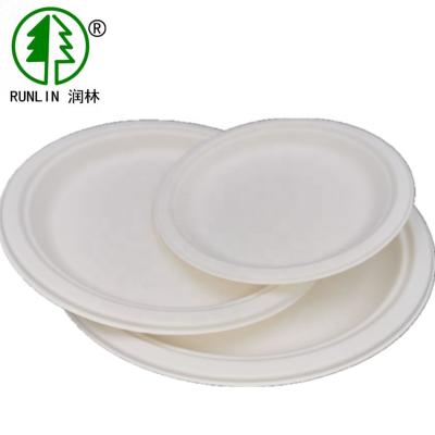 China BBQs Compostable White Eco Products Disposable Plates Made From Sugarcane Plates for sale