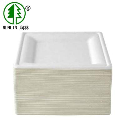 China Square Pulp Molded Eco Friendly Dishes  FDA  Biodegradable Sugarcane Bagasse Plates for sale