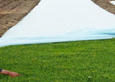 China Eco-friendly agriculture pp spunbond nonwoven fabric for sale