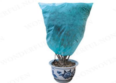 China Blue pp spunbond nonwoven plant cover for sale