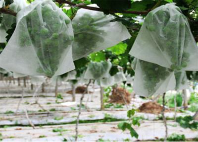 China White pp spunbond nonwoven grape cover for against insect for sale