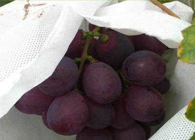 China PP spunbond nonwoven grape cover for sale