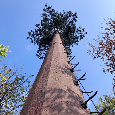 China 30m/S Coconut Tree Camouflage Cell Tower For Outdoor for sale