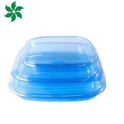 China Takeaway Packaging Box Plastic For Good Food Square food container Plastic BLUE Disposable Sushi box for sale
