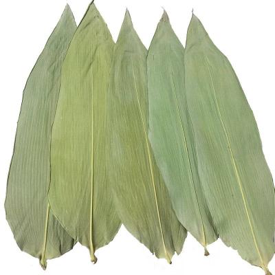 China Eco Friendly 33cm Fresh Bamboo Leaves For Sushi Food for sale