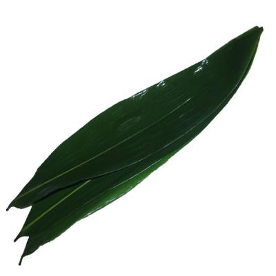 China Vacuum Packed 23cm Fresh Bamboo Leaves For Rice Dumplings for sale
