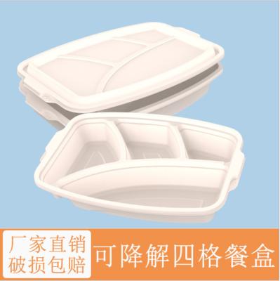 China Recipientes de alimento irregulares do compartimento da fécula de milho Degradable descartável quatro à venda