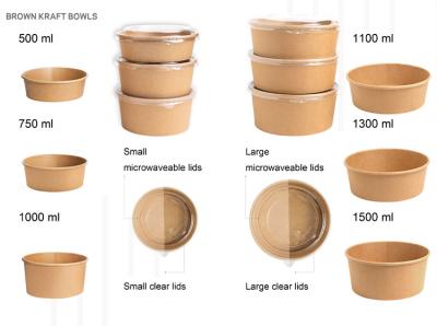 China Eco Friendly Biodegradable Take Away Box 360-2000ml Size for Food Packaging for sale