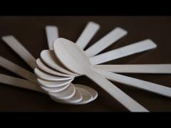 Biodegradable Compostable Wooden Cutlery PLA Cutlery Disposable 160mm