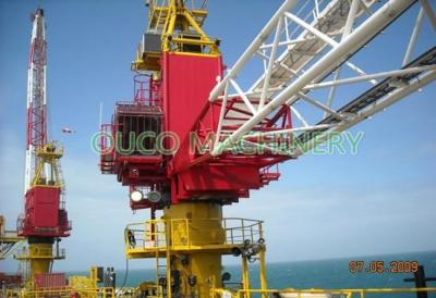 China puerto 40T que alza la grúa tiesa fija del auge del enrejado de la máquina para el carguero de graneles en venta