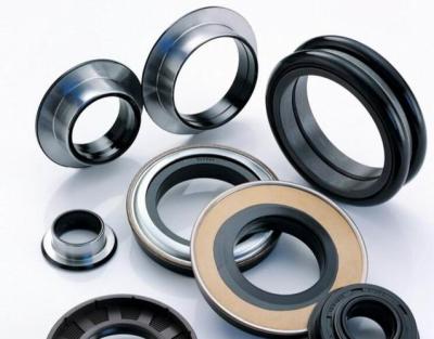 China Rubber O Ring Auto Spare Parts Oil Seal / Fuel Seal Heat Resistance Custom Size for sale