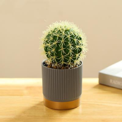 China Plastic Small Potted Artificial Flowers Faux Potted Cactus Plant Odm for sale