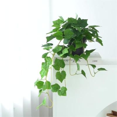 China Viña verde Plantas colgantes de plástico al aire libre Falsos helechos colgantes Ivy Decoración de paredes en venta