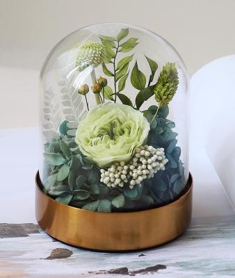 China Gift Preserved Dried Flowers Glass Dome Austin Rose For Valentine'S Day Birthday for sale